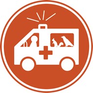 participer--ambulancier